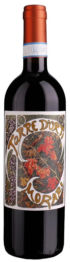 Valpolicella Morari 2023 | Torre d'Orti | Veneto